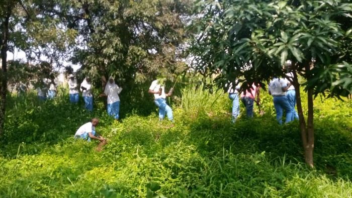 المركز الثقافي بوجمبورا يغرس قرابة خمسة وستون شجرة أفوكادو مثمرة